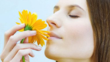 Primavera: é tempo de sorrir e celebrar