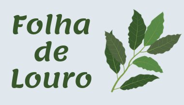 Louro: Conheça os benefícios da erva que atrái prosperidade