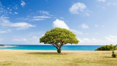 Tome contato com a sua fragilidade para ser feliz