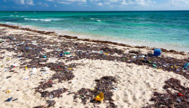 Sonhar com praia suja