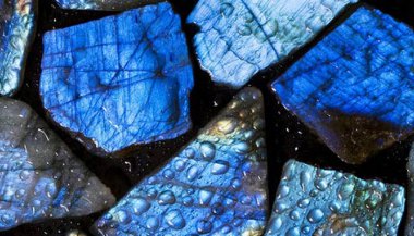 Anil - Faça uma limpeza espiritual poderosa