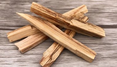 Palo Santo: Limpe as energias negativas no ambiente