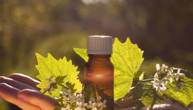 Floral Rescue: Uma substância poderosa para a nossa alma