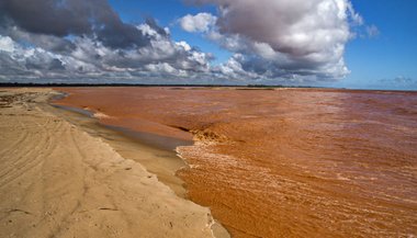 Sonhar com lama marrom