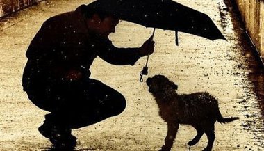 Ser do bem é ser um SER humano do bem