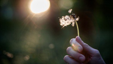 Você é apegado ou desapegado?