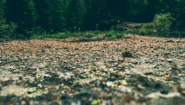 Sonhar com lama e chuva