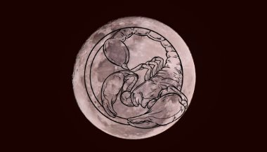 Lua em Escorpião: Intensidade e lealdade