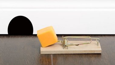 Sonhar com rato grande