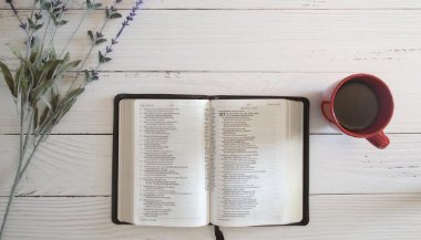 7 salmos para encher sua vida de felicidade