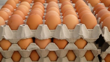 Sonhar com ovo de galinha