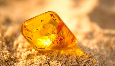 Colar de âmbar báltico: benéfico ou perigoso?