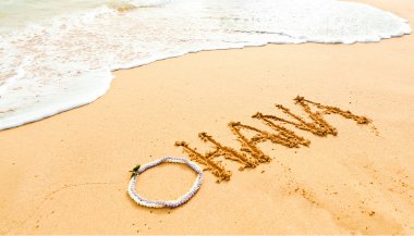 Ohana: conheça o significado