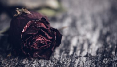 Significado de sonhar com assasinato