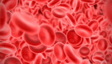 Significado de sonhar com sangue jogo do bicho