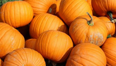 Significado de sonhar com abóbora