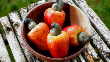 Significado de sonhar com caju