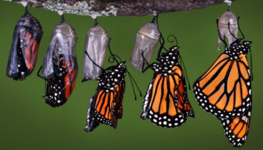 5 passos infalíveis para desenvolver um verdadeiro poder de mudança