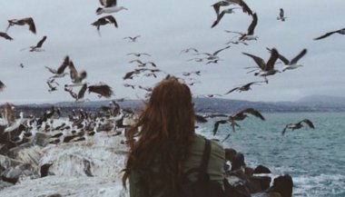 Escolhas diferentes, resultados diferentes