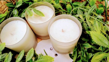 Rituais e simpatias de primavera