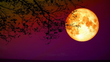 Lua Cheia em Áries — 20 de outubro de 2021: refletir é preciso