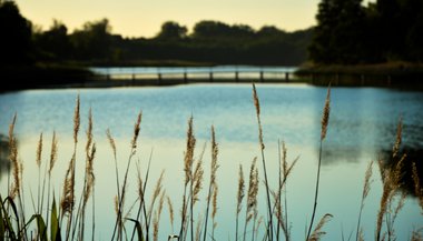 Significado de sonhar com lagoa