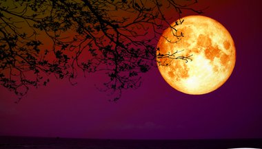 Lua Cheia em Câncer — 17 de janeiro de 2022