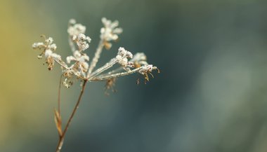 Julho: conheça o significado espiritual deste mês