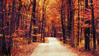 Libra, Escorpião e Sagitário: os signos do outono no Hemisfério Norte