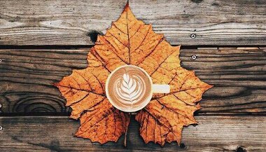 Áries, Touro e Gêmeos: os signos do outono no Hemisfério Sul