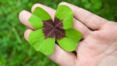 Dicas de aposta para cada signo