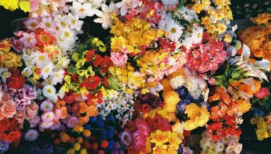 Libra, Escorpião e Sagitário: os signos da primavera no Hemisfério Sul