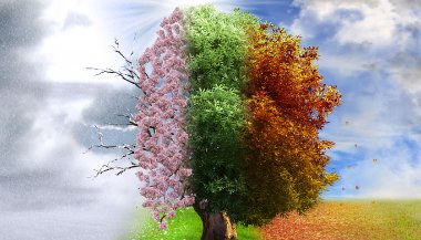 Como as estações do ano afetam os signos?