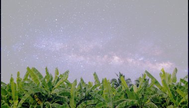 A influência dos astros no reino vegetal