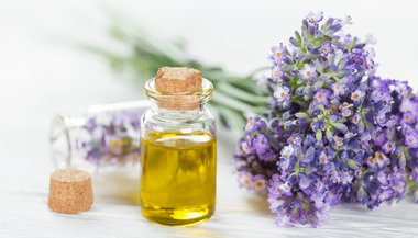 Vine: a essência floral feita da videira