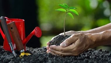 Os signos mais engajados com o meio ambiente