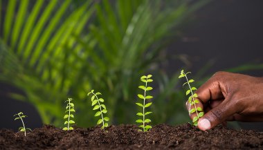 Dia Mundial do Meio Ambiente