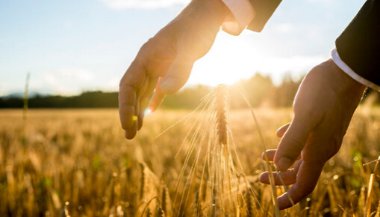 Aprenda a contemplar a realidade