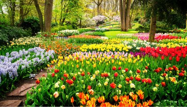 Equinócio de Primavera: tudo sobre esse fenômeno