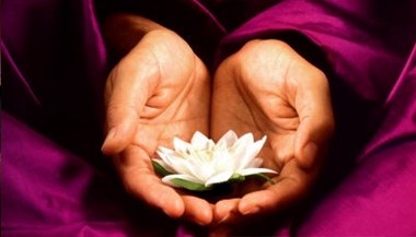 5 princípios do Reiki - Ferramentas transformadoras da realidade