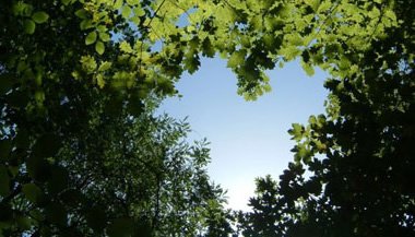 A contemplação e transformação do Ser