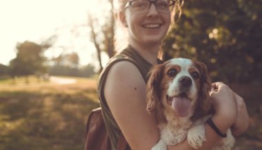 O amor dos bichos de estimação