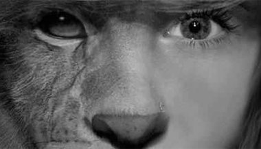 Como evocar seu animal de poder