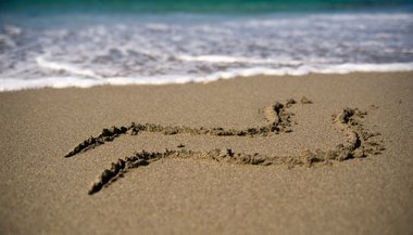 O que significa o signo de Aquário?