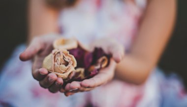 Aromas que ajudam na superação de traumas