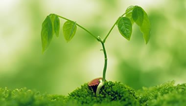 Reflexão sobre Ressignificar