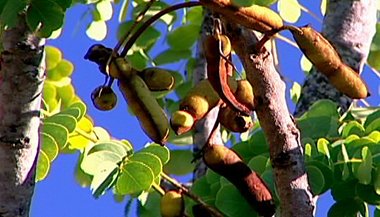 Beleza também cura – Parte 3