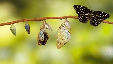 Mercúrio em Peixes — 23 de fevereiro de 2024