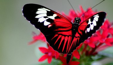 Assuma a responsabilidade e liberte-se!