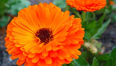 Beleza também cura – Parte 2